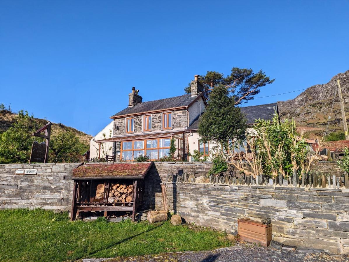 布莱奈费斯蒂尼奥格 Bryn Elltyd Eco House旅馆 外观 照片