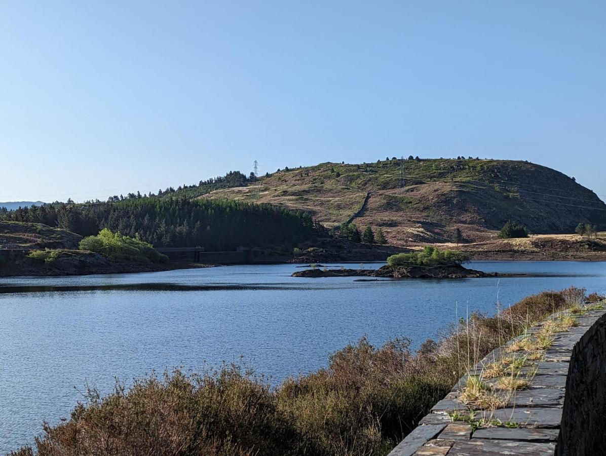 布莱奈费斯蒂尼奥格 Bryn Elltyd Eco House旅馆 外观 照片