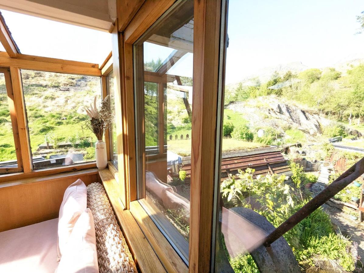 布莱奈费斯蒂尼奥格 Bryn Elltyd Eco House旅馆 外观 照片
