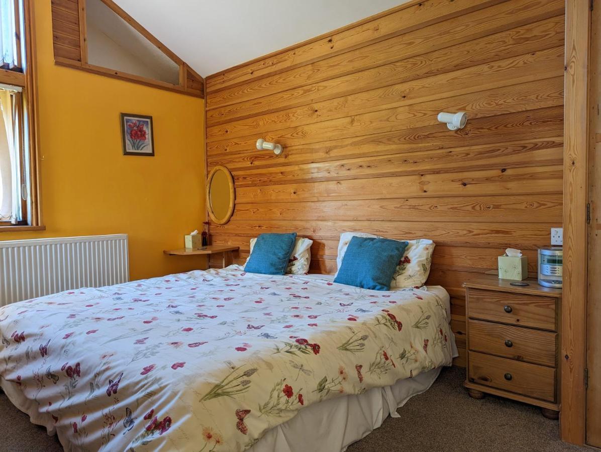 布莱奈费斯蒂尼奥格 Bryn Elltyd Eco House旅馆 外观 照片