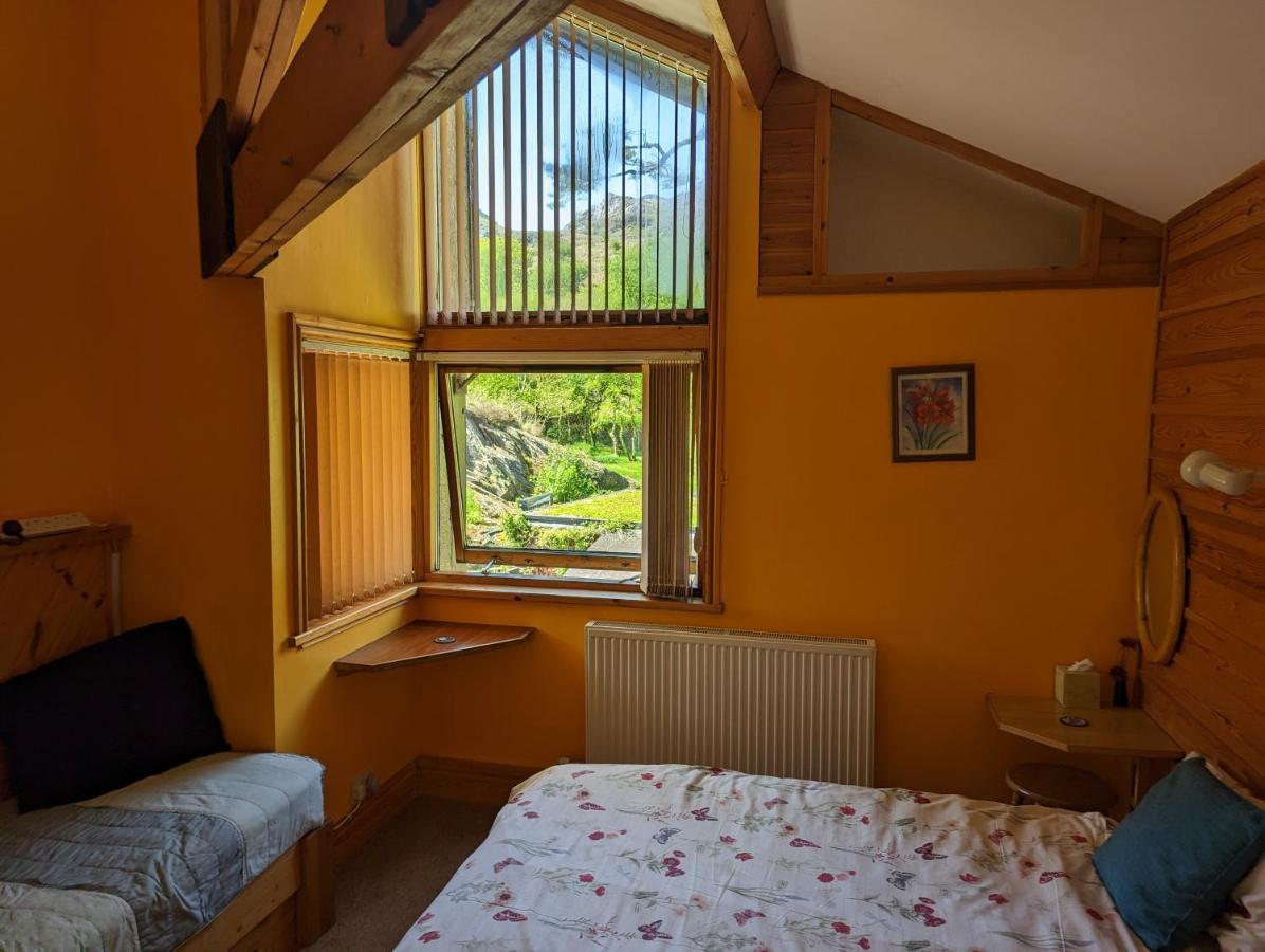 布莱奈费斯蒂尼奥格 Bryn Elltyd Eco House旅馆 外观 照片