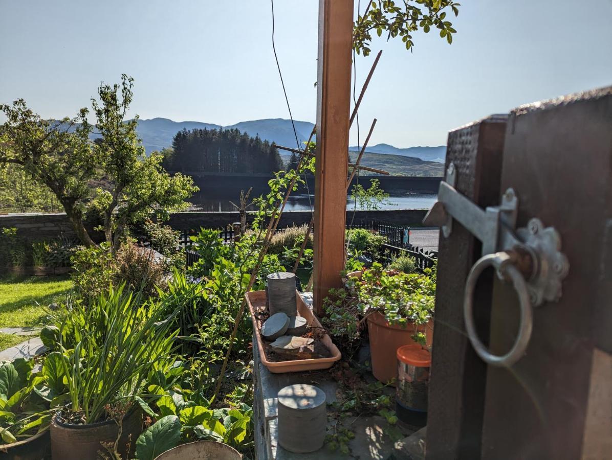 布莱奈费斯蒂尼奥格 Bryn Elltyd Eco House旅馆 外观 照片