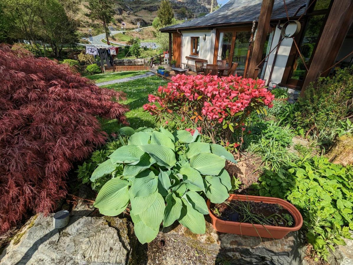 布莱奈费斯蒂尼奥格 Bryn Elltyd Eco House旅馆 外观 照片