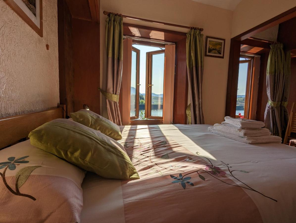布莱奈费斯蒂尼奥格 Bryn Elltyd Eco House旅馆 外观 照片