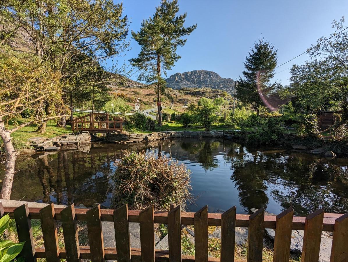 布莱奈费斯蒂尼奥格 Bryn Elltyd Eco House旅馆 外观 照片