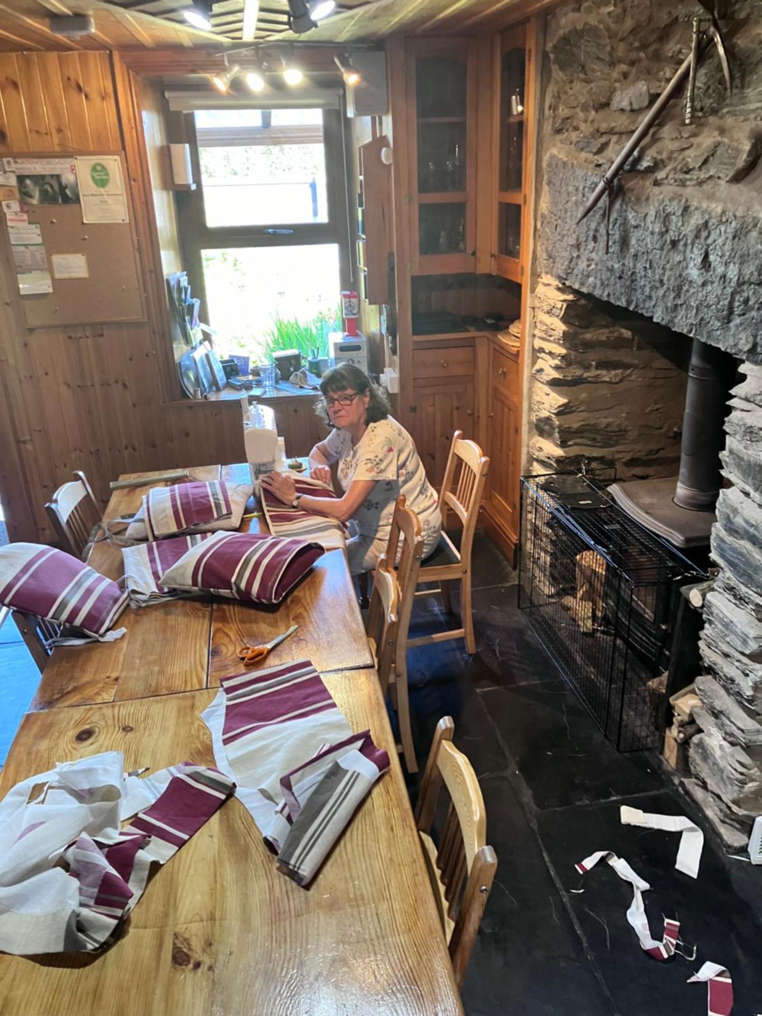 布莱奈费斯蒂尼奥格 Bryn Elltyd Eco House旅馆 外观 照片