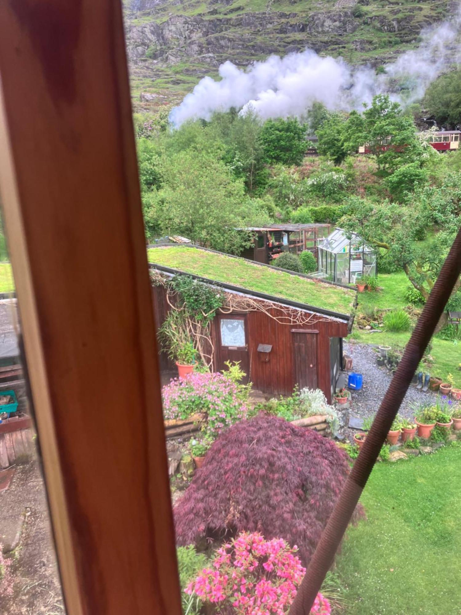 布莱奈费斯蒂尼奥格 Bryn Elltyd Eco House旅馆 外观 照片