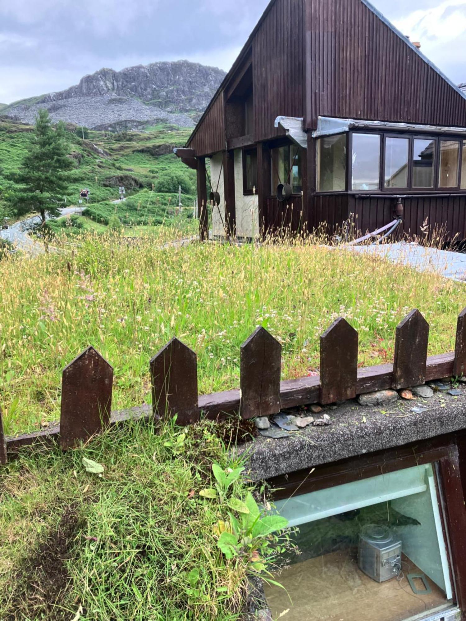 布莱奈费斯蒂尼奥格 Bryn Elltyd Eco House旅馆 外观 照片