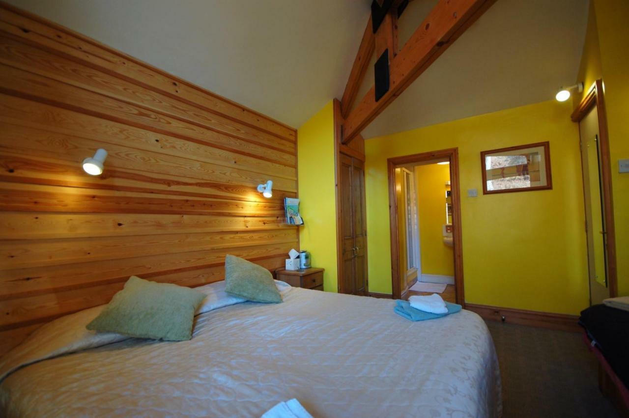 布莱奈费斯蒂尼奥格 Bryn Elltyd Eco House旅馆 外观 照片
