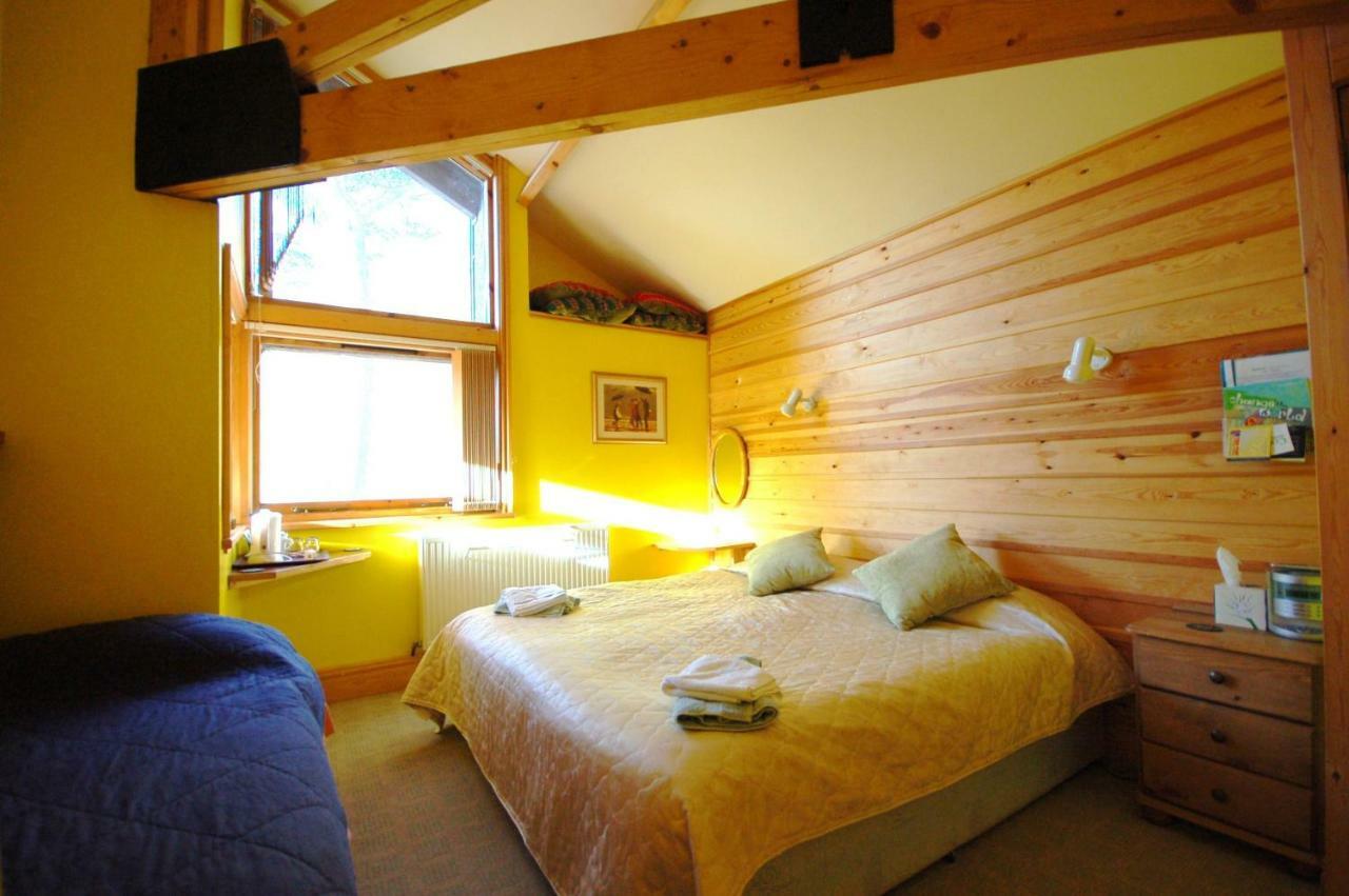 布莱奈费斯蒂尼奥格 Bryn Elltyd Eco House旅馆 外观 照片